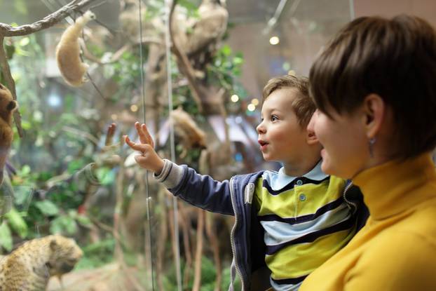 Mother,With,Her,Son,Looking,At,Wild,Animals,In,The