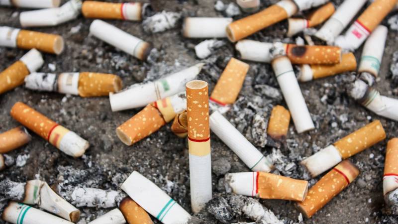 Jutarnji ‘Cikol’s’ volunteers in Zagreb: ‘It takes the cigarettes for 10 to 15 years to break down’