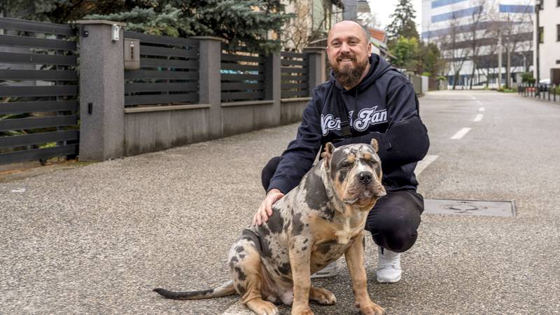 Marko Lasić Nered digao psa od 50 kg pa završio na operaciji ruke: Pukla mi je tetiva bicepsa