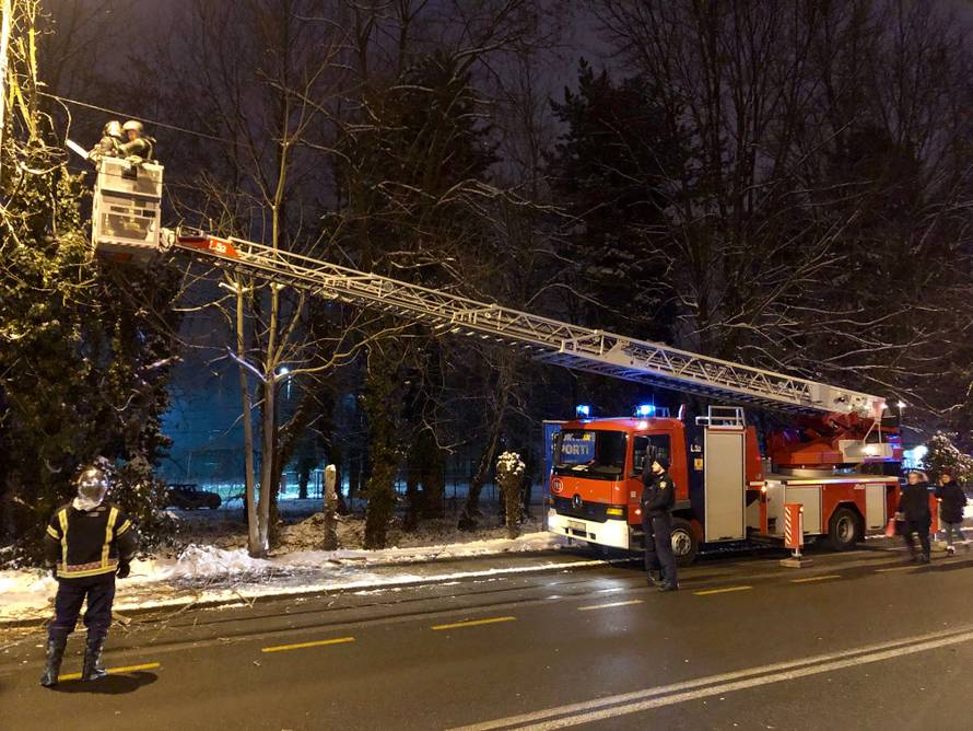 Zastoj u Maksimirskoj:  Stablo se nagnulo, tramvaji nisu vozili