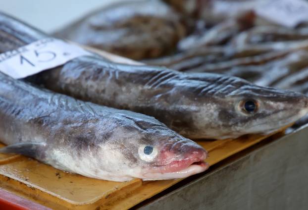 Šibenik: Ponuda ribe i ostalih morskih delicija