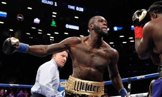 BOXING: NOV 04 Deontay Wilder v Bermane Stiverne