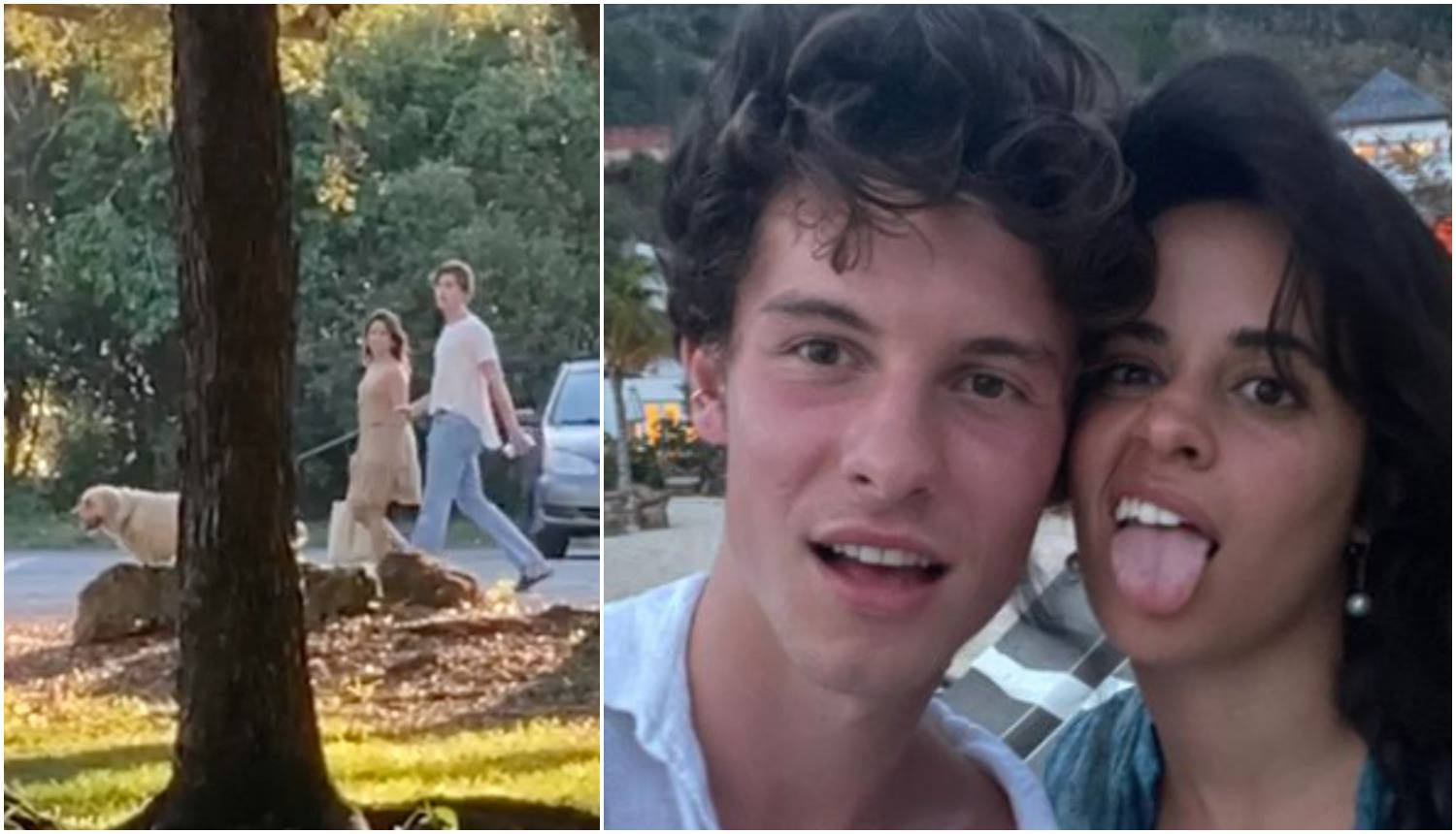 Camila Cabello i Shawn Mendes su ponovno zajedno? 'Ulovili' su ih dok su zajedno šetali psa