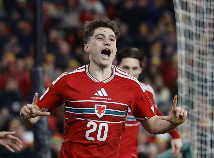 FIFA World Cup - UEFA Qualifiers - Semi Final - Wales v Bosnia and Herzegovina