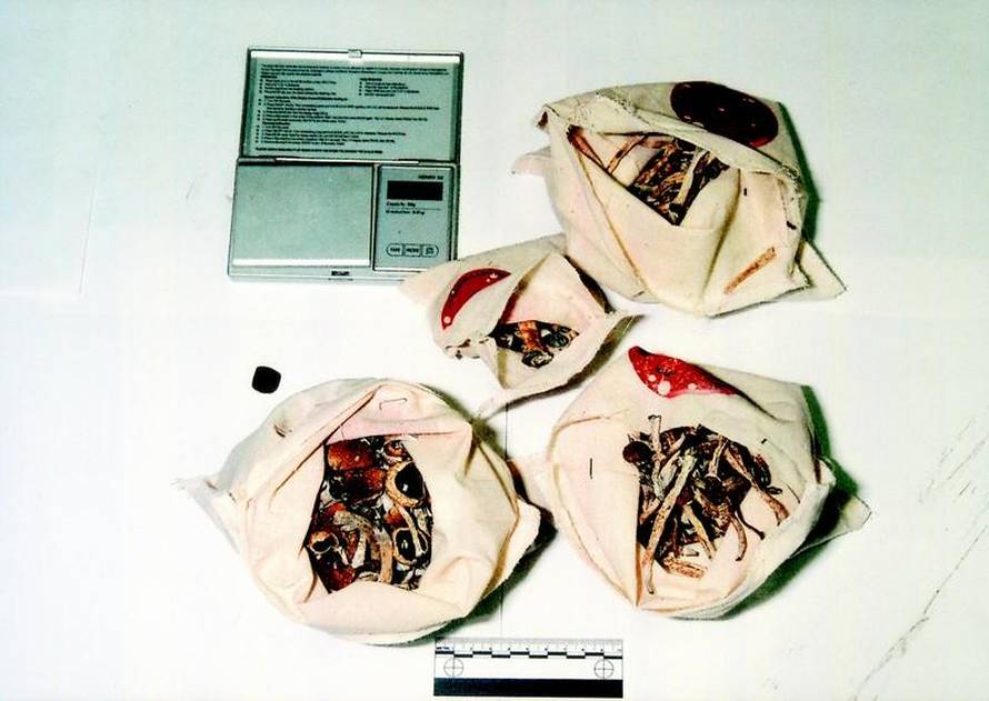 24sata