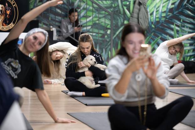 24SATA Paw Yoga, inovativni koncept joge koji je stigao u Hrvatsku