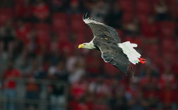 Benfica Lisbon - RB Leipzig