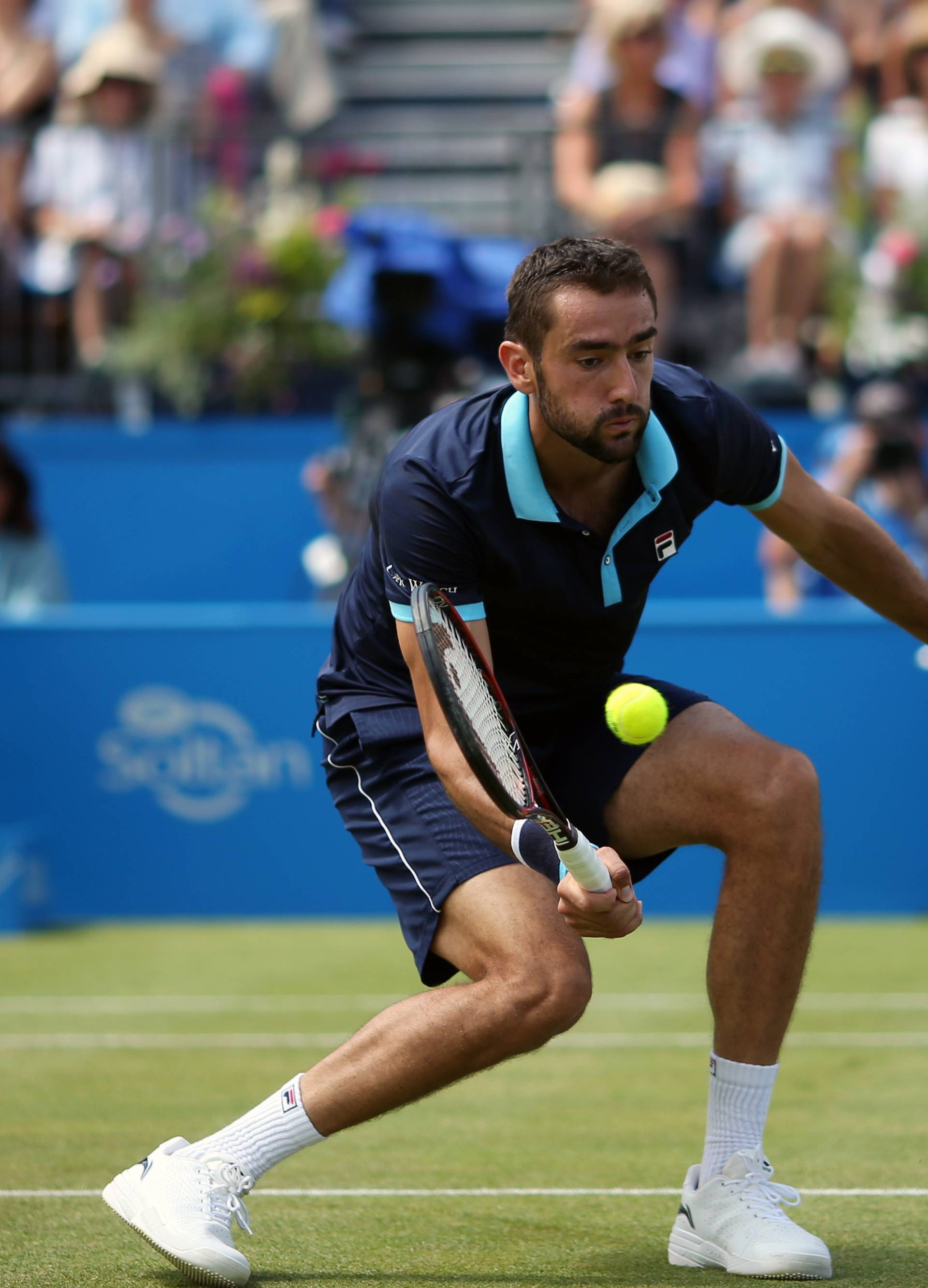 2017 AEGON Championships - Day Four - The Queen's Club