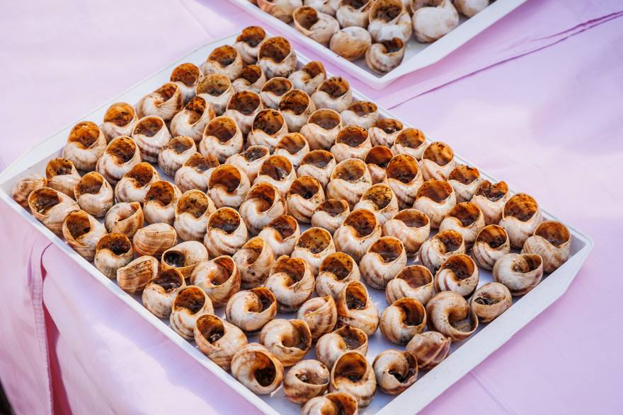 The sponge is a unique gastronomic feast in Vrgorac: from snails from vineyards, they work the finest frita.