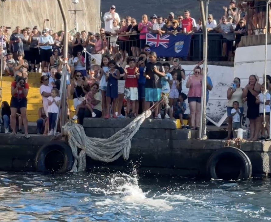 VIDEO Dina Levačić otplivala rutu koju nitko nikad nije: 'Bilo je teško mentalno i fizički...'