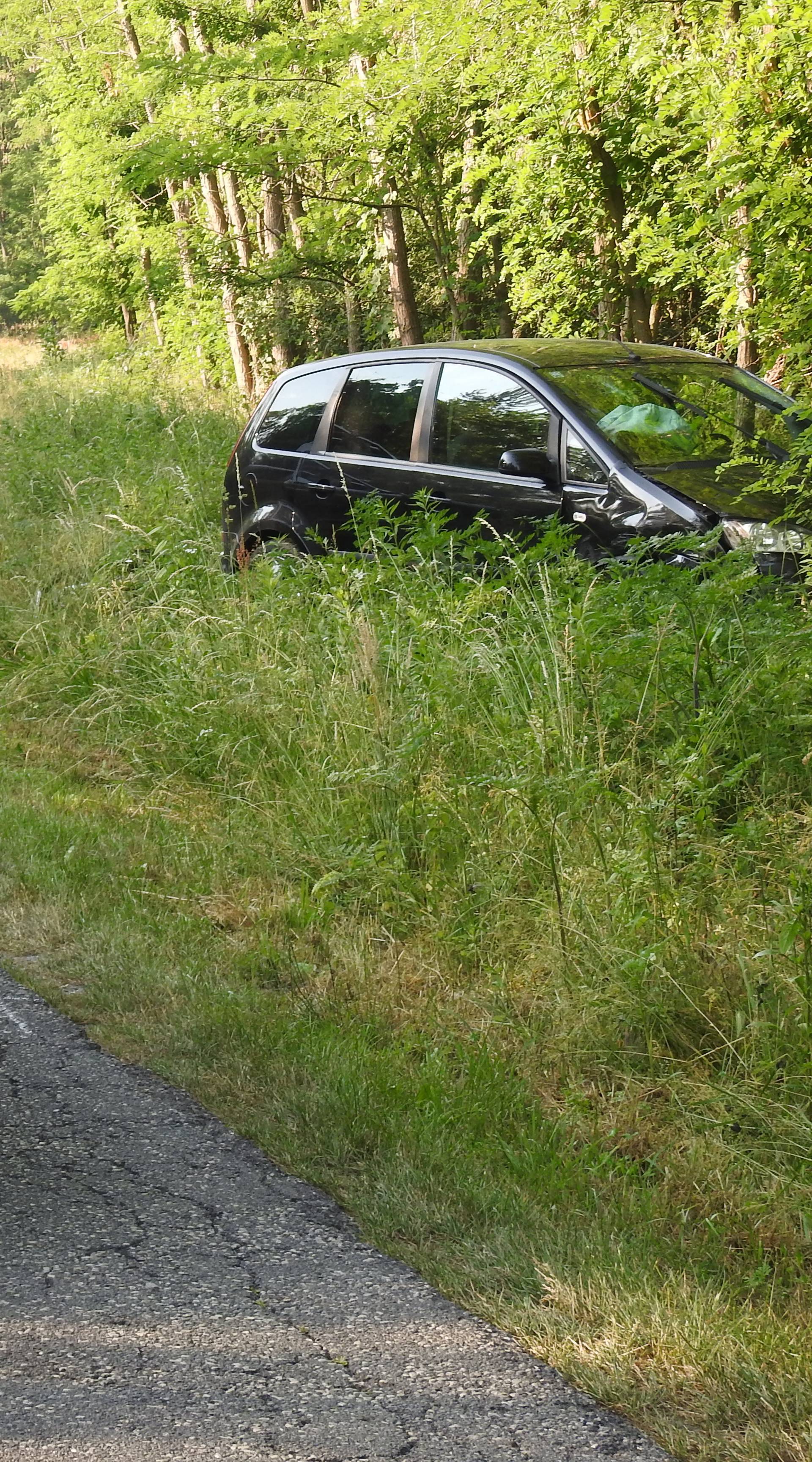 Nema vozačku: Sa 3,7 promila s ceste izgurao majku i djecu