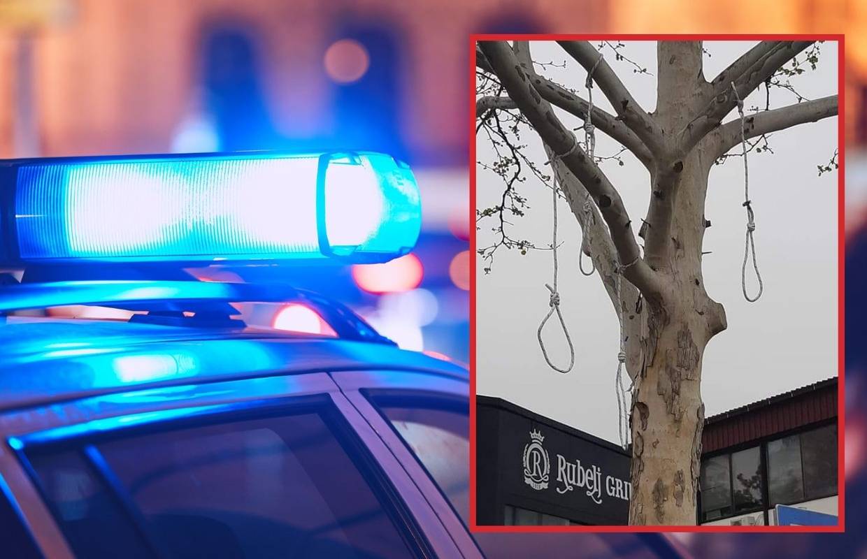 Šokantne scene: Sa stabla u Dubravi visjela četiri vješala