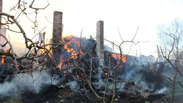 Staja izgorjela, krov se urušio: U zadnji tren spasili životinje