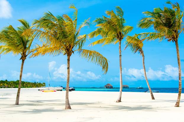 Landscape of sandy beach