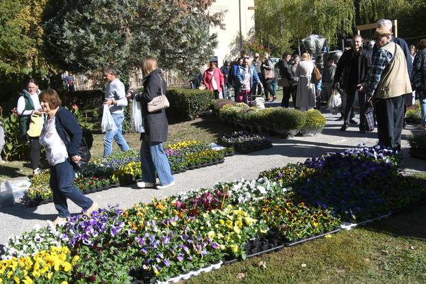Daruvar: Sadržajan 22. daruvarski cvjetni sajam imao je humanitarno obilježje za Ligu protiv raka