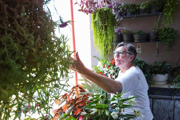 Zagreb: Jasenka Marija Kaštelan ima najljepši vrt na balkonu i ispred zgrade 