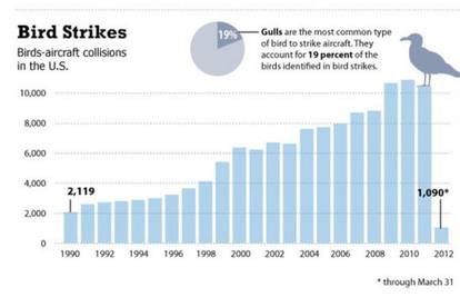 Sudari aviona i ptica sve češći, a posljedice mogu biti fatalne