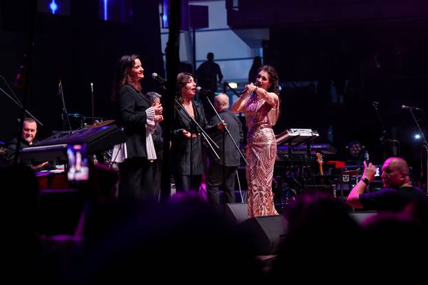 Frankfurt: Hrvatska noć u Suwag Energie Areni