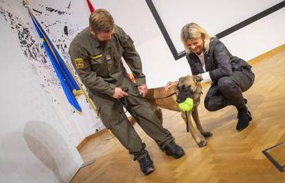 Austrija na aerodromu koristi pse da nanjuše Covid oboljele