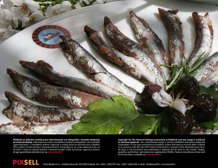 Duško Jaramaz/Pixsell