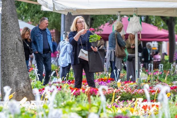 Pula: 17. sajam cvijeća Florija na Giardinima