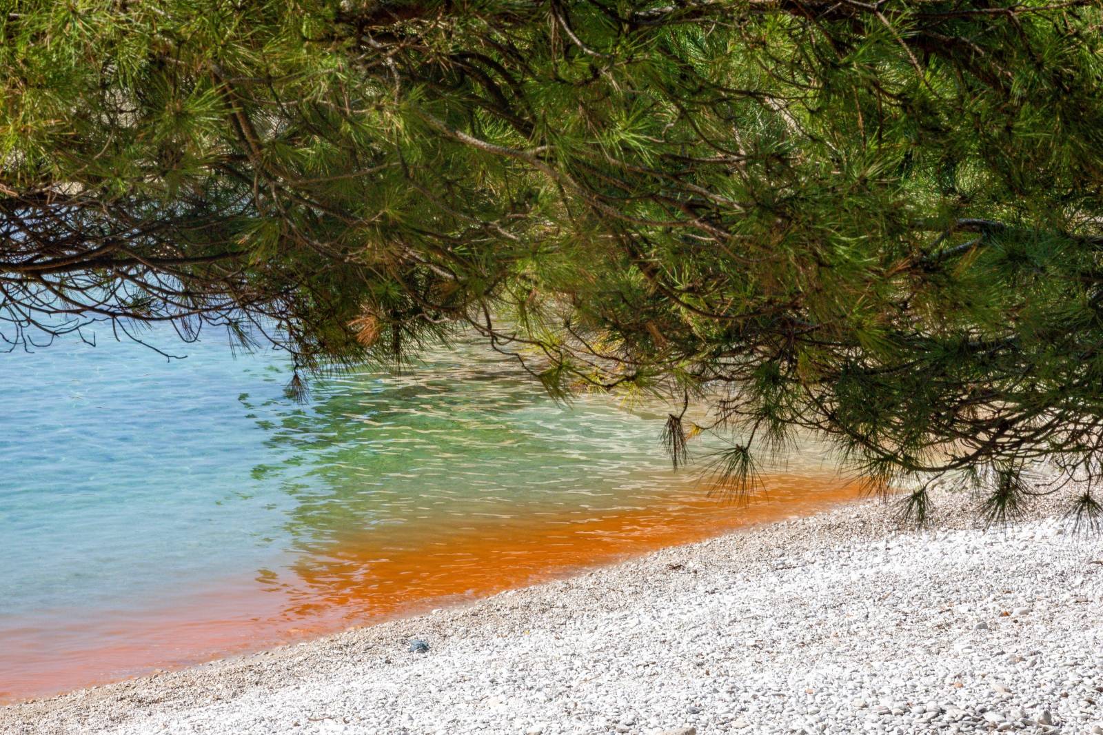 Cvjetanje mora na pojedinim pulskim plažama