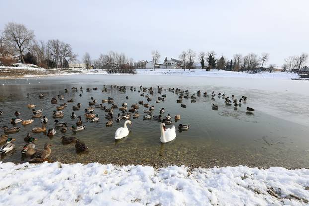 Sveta Nedelja: Zimska idila na jezeru Kipišće