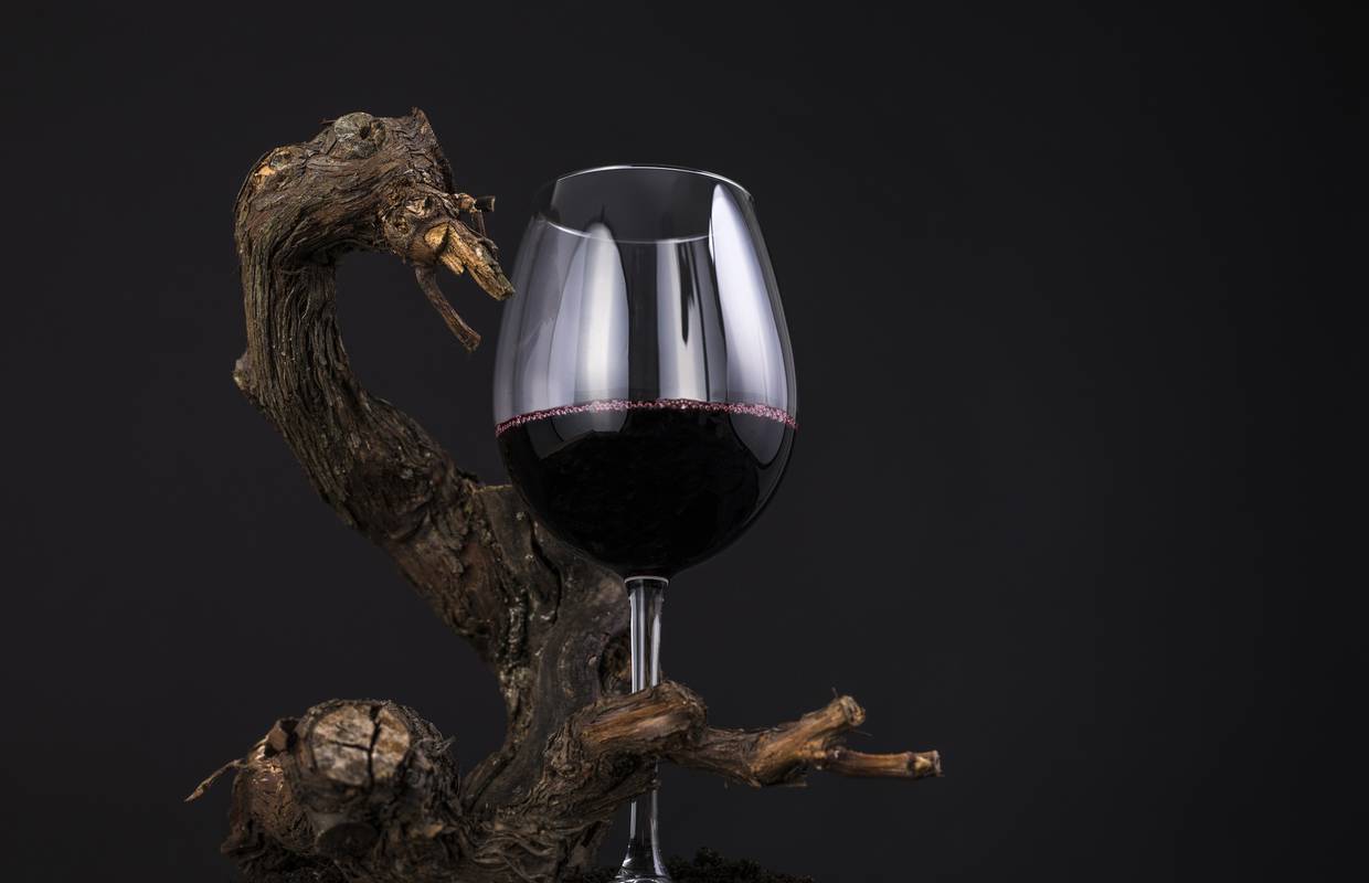 Gromoglasna tišina nakon gutljaja Jeke, jednog od najboljih hrvatskih crnih vina