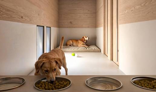 Aerodrom u Rimu otvorio hotel za pse: Kamera, masaže i mirisi za opuštanje, a cijene od 40 €