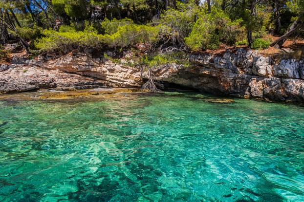 Vela Luka: Uvala Slatina