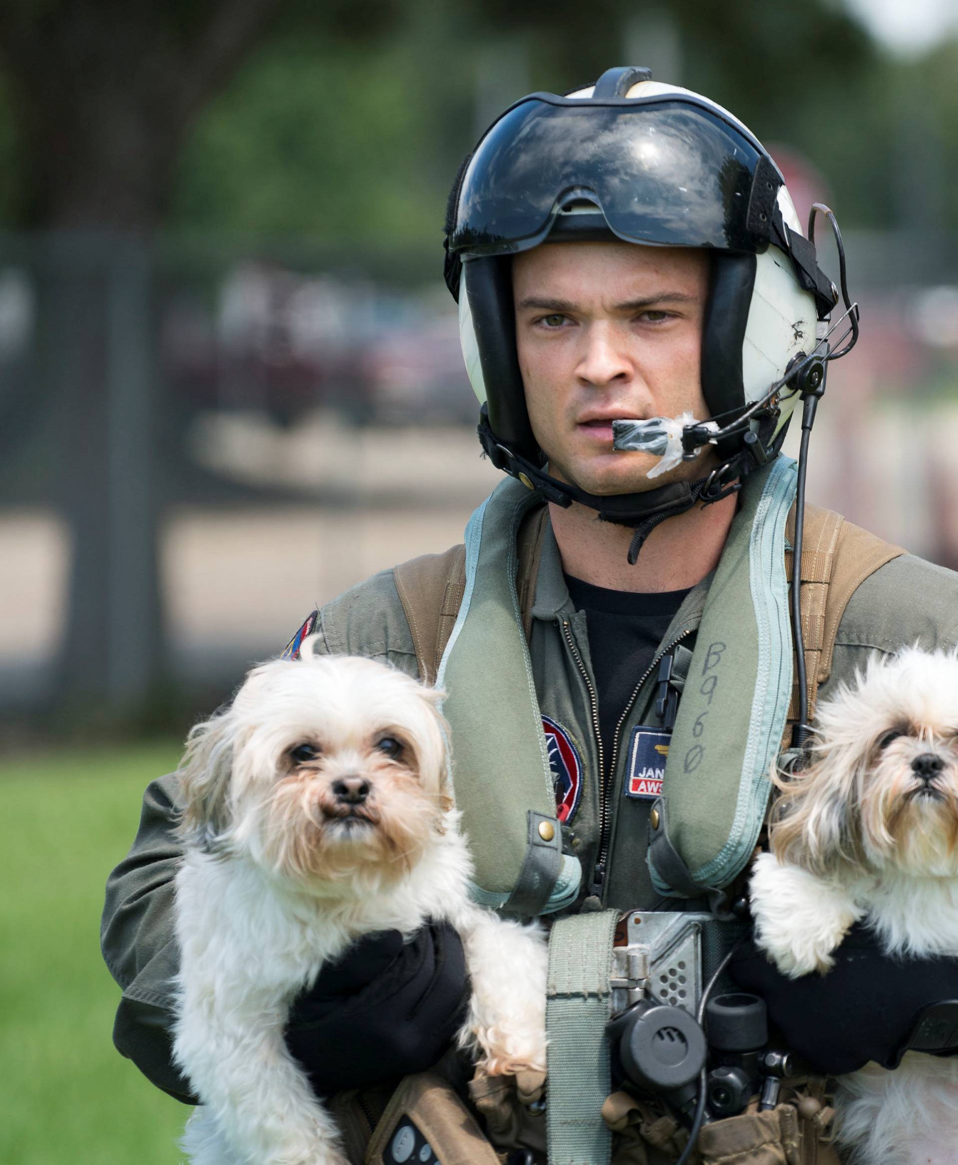 Naval aircrewman rescues dogs from flooding in Vidor