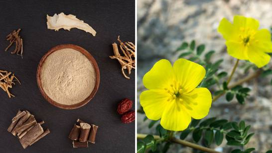 Ashwagandha i babin zub su odlični afrodizijaci za oba spola