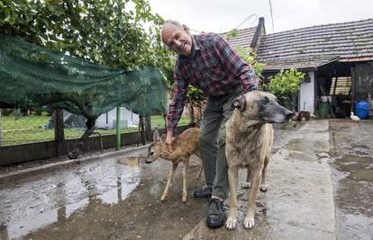 Ljubav u Kotoribi: Lazarov pas Kulin III od smrti spasio je lane