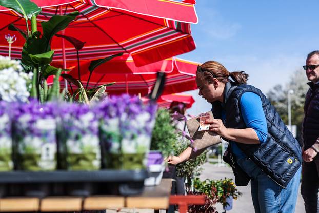 Zagreb: Izložba biljaka Plant market