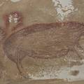 Crtež svinje iz spilje u Indoneziji nova je najstarija umjetnina