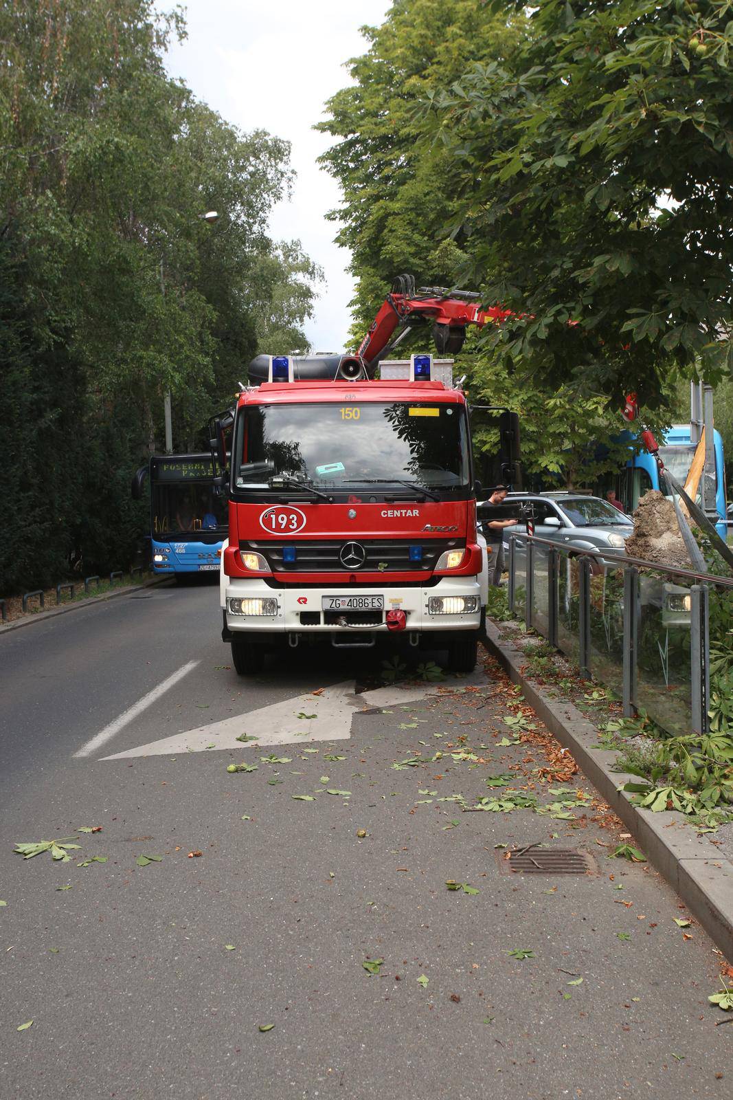 U centru Zagreba palo stablo