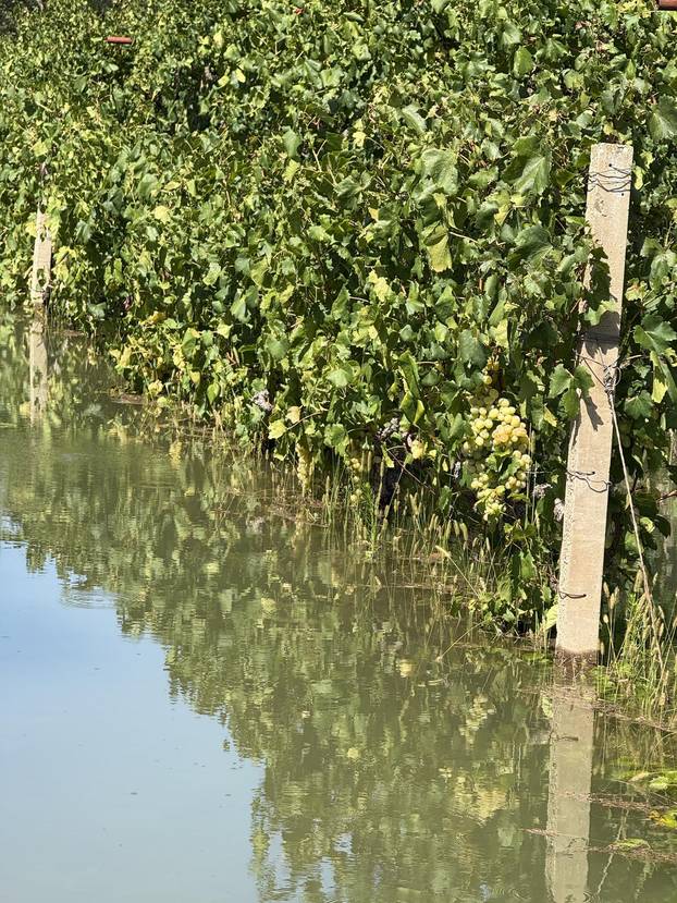 Vrgorac: Posljedice obilnih kiša na području općine Pojezere