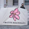 Na Trg žrtava fašizma opet se vraćaju biljke: 'Uspjeli smo, vratit ćemo magnoliju!'