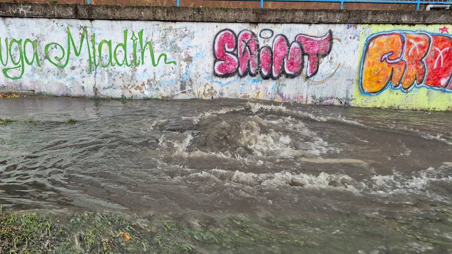 VIDEO Jako nevrijeme potopilo Slavonski Brod, vjetar rušio stabla. Grom zapalio pušnicu