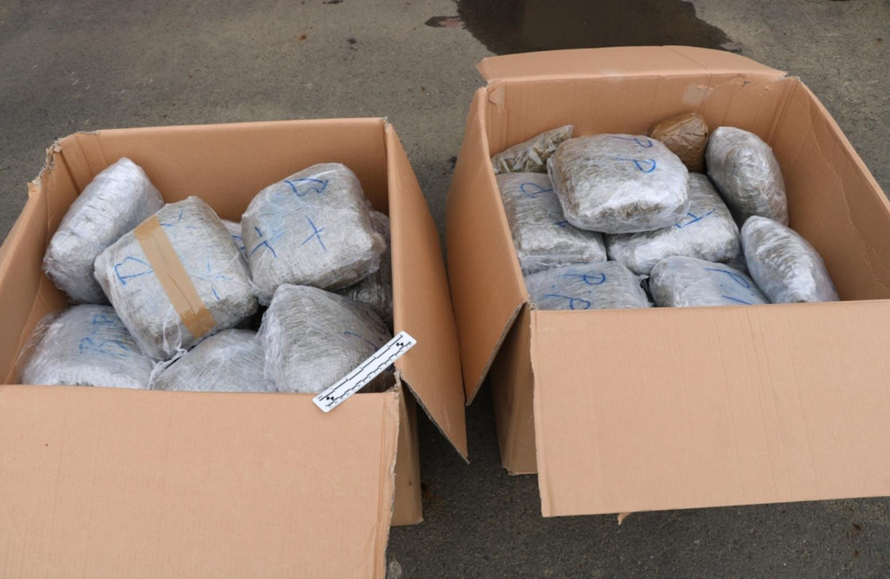 Švercali su marihuanu i hašiš: Policija zaplijenila 64 kg 'trave'
