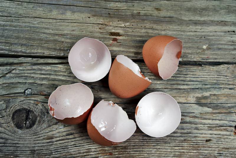 Evo kako skuhati jaja tako da su savršeno tvrda i lako se gule