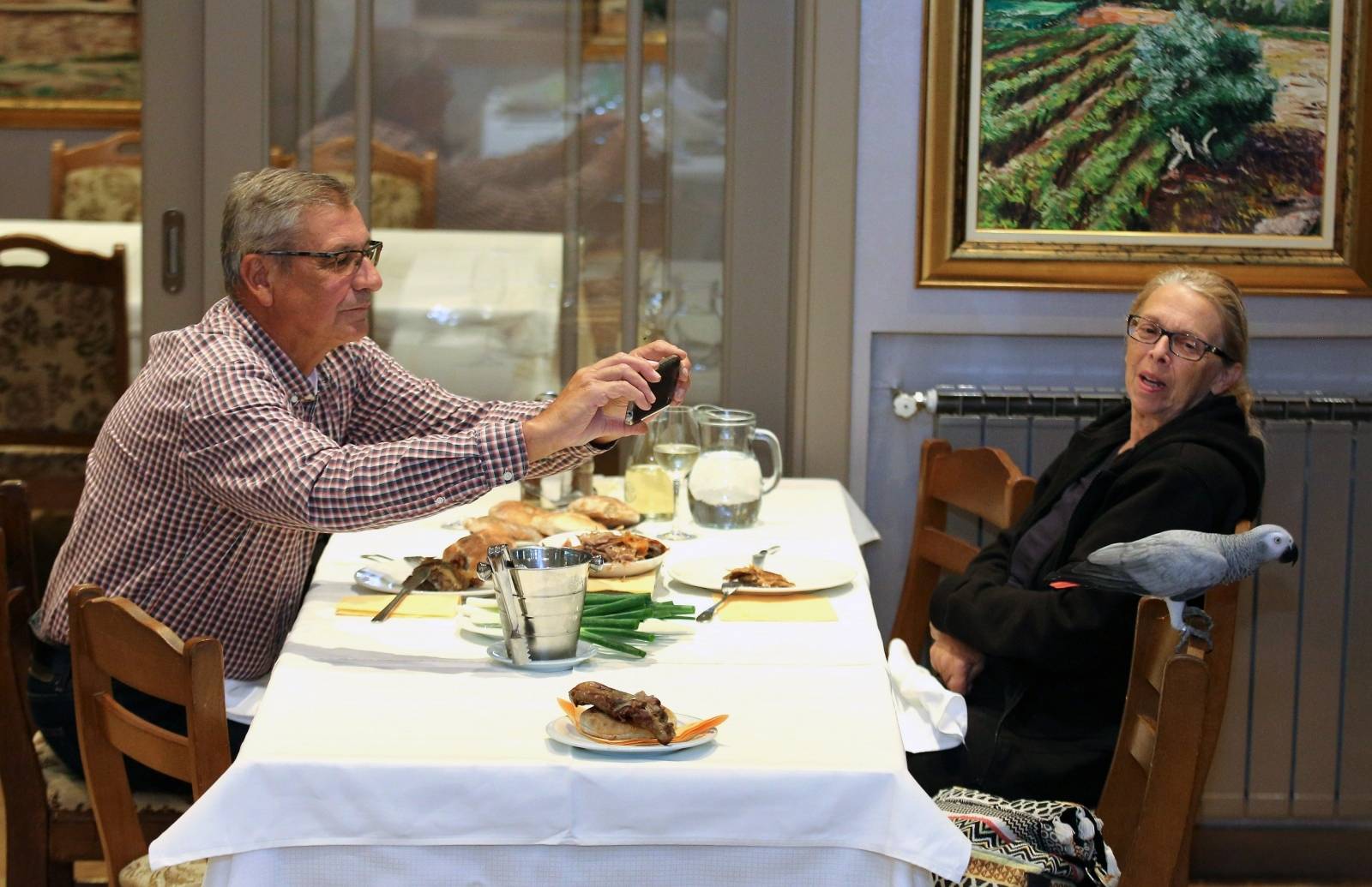 Šibenik: Restoran u kojem papagaj Koko uživa u janjetini s gostima