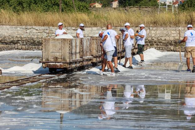 Berba soli u Stonskoj solani