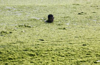Smrdljive alge su potjerale kupače s plaže na istoku Kine