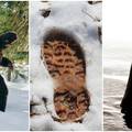 JEZA U Ohiju osmero ljudi ka&zcaron;e da je srelo Bigfoota! A sje&cacute;ate se Nessie i Yetija? Evo 'gdje su'