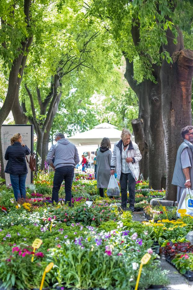 Pula: 17. Florija (sajam cvijca) na Giardinima