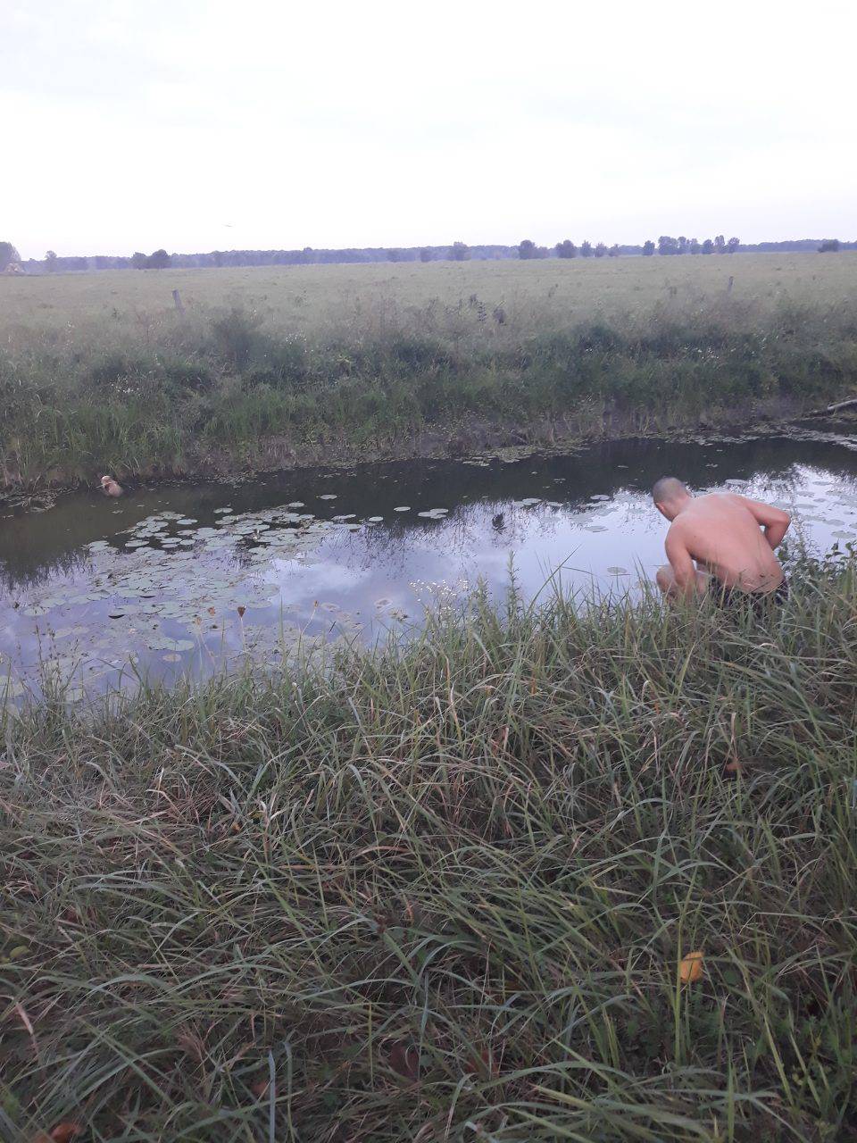 Pomozi muuuuuuu: Pogledajte kako je spasio tele kod Osijeka