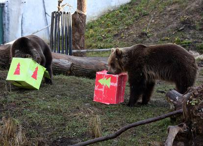 FOTO 'Djed Mraz' stigao u ZOO Zagreb i donio poslastice za sve