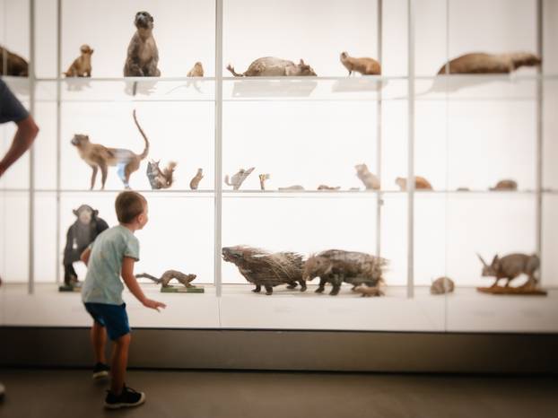 Prvi muzejski vikend okupio je 20.000 posjetitelja u Zagrebu