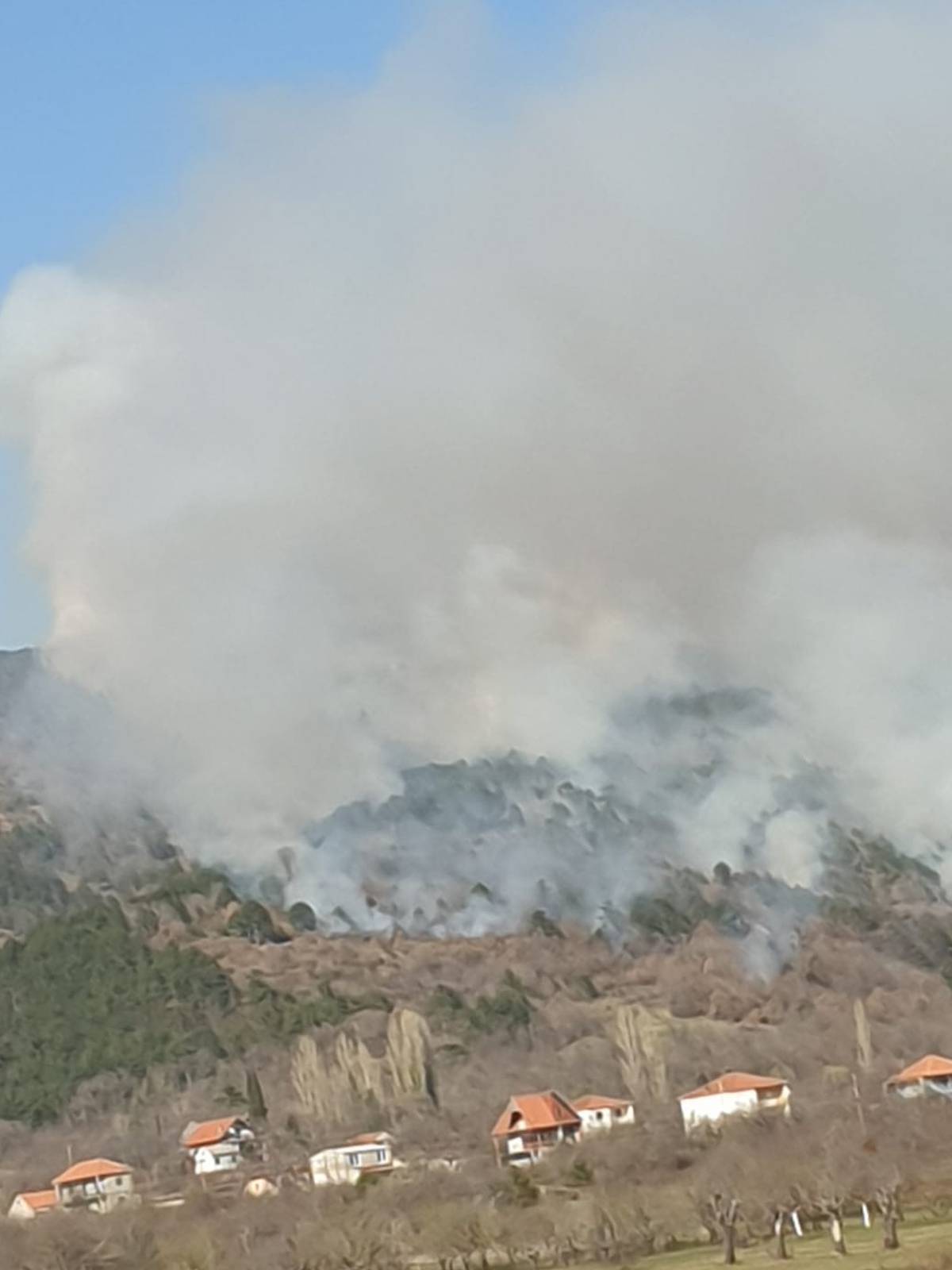 Sinj: Planula je gusta borova šuma, dim se proširio posvuda